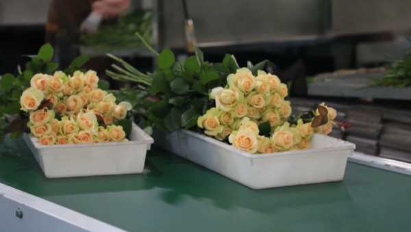 Қытайда гүлге сұраныс артты