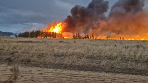 Степной пожар тушат в Баянаульском районе