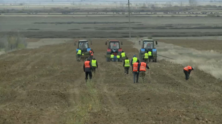 Қарағанды облысында орман қоры ұлғайтылып жатыр