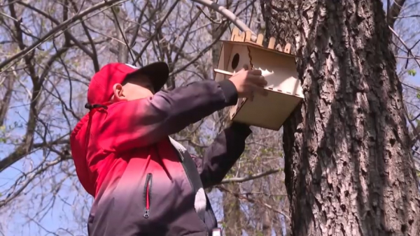 Масштабная экологическая акция продлится 5 недель