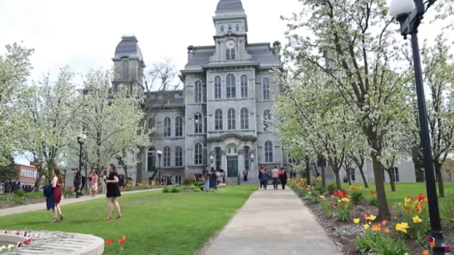 Обучение за рубежом: плюсы и минусы