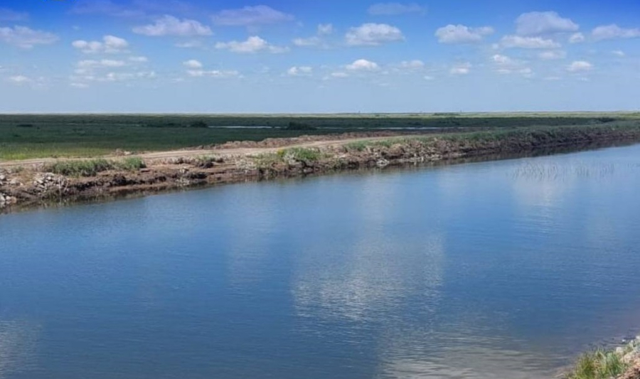 Более 33 тысяч га лиманов обводнили в Павлодарской области