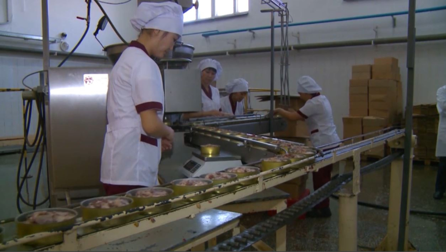 Мясокомбинаты начнут перерабатывать сайгачатину