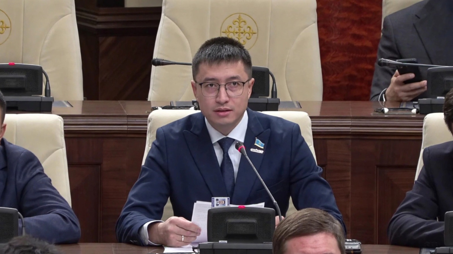 Депутат: Ауылдағы нашар интернет пен жүйенің шикілігі 138 мың кәсіпкердің жұмысын қолдан байлады