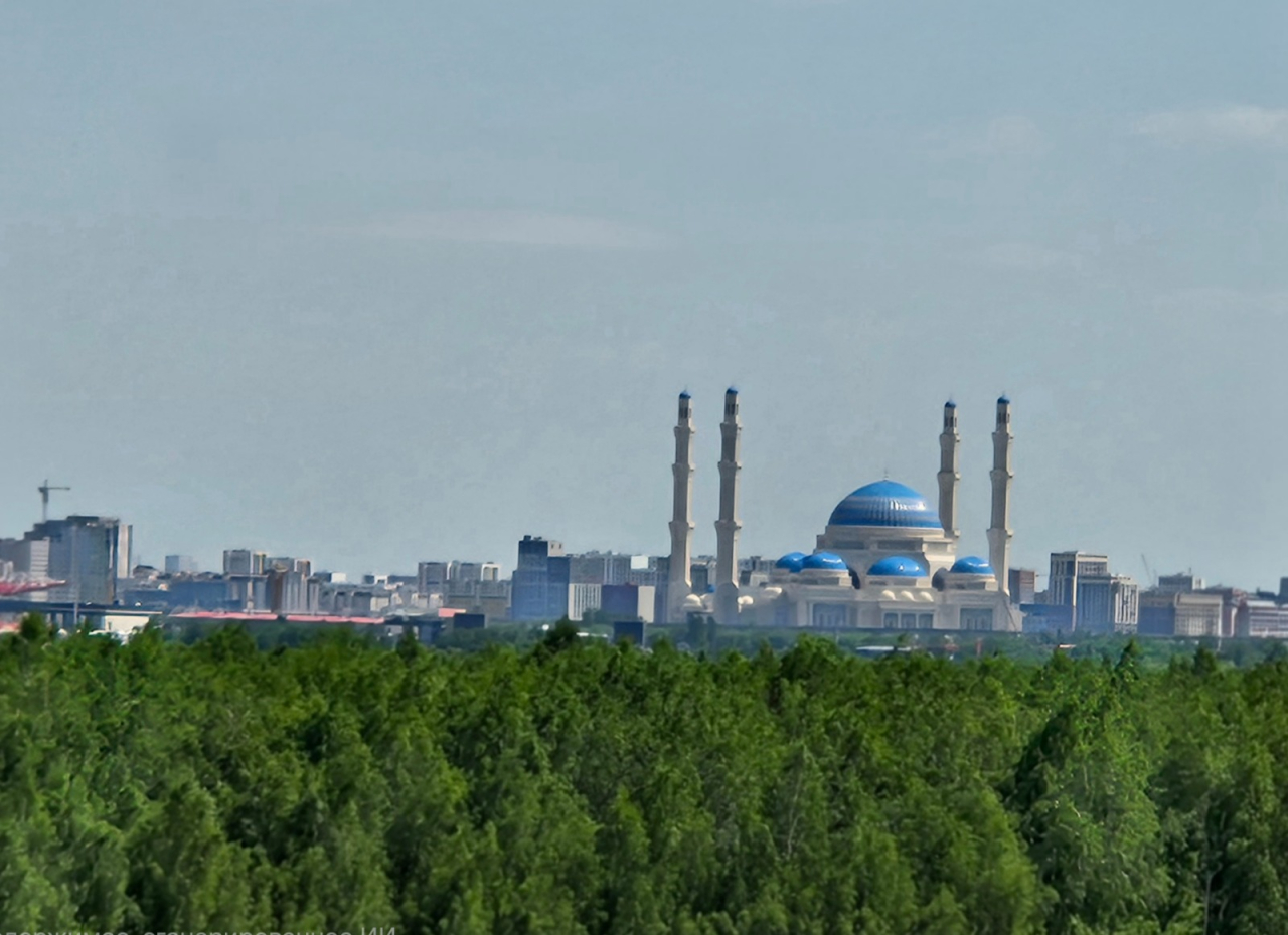 Тақыр даладан орманға дейін: Астана күніне орай бас агроном Ардақ Хасеновпен сұхбат