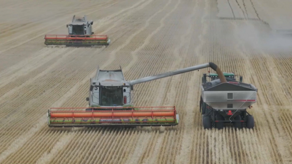 СҚО-да 6,2 млн тонна бидай жиналды