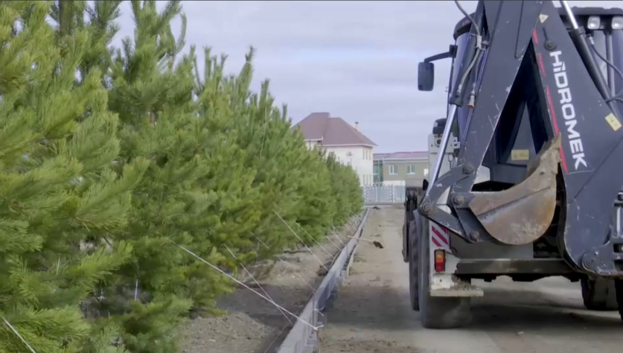 Атырауда «Таза Қазақстан» аясында 2600 ағаш егілді