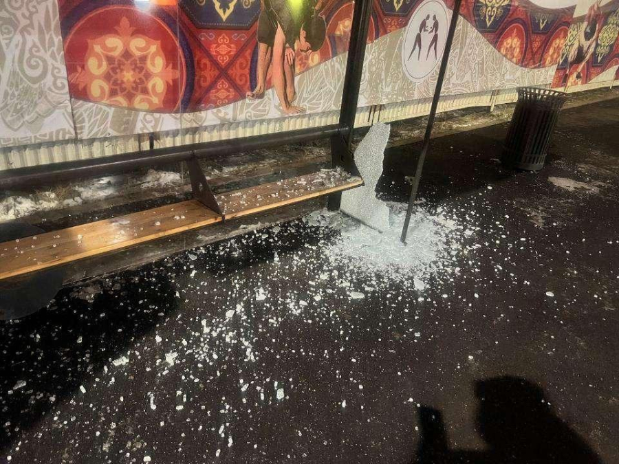 Фото вандалов покажут на колесе обозрения в Астане