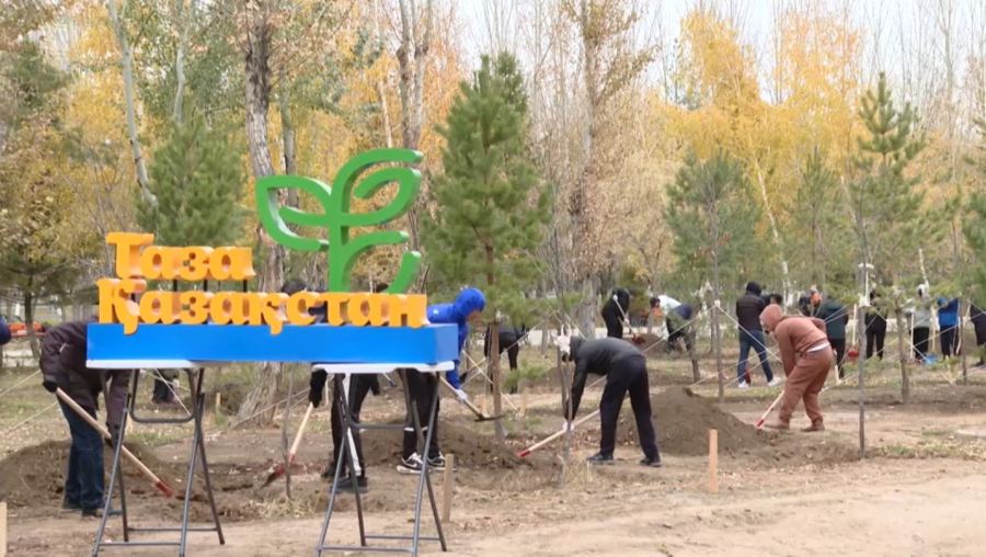 «Таза Қазақстан»: партия белсенділері ағаш екті