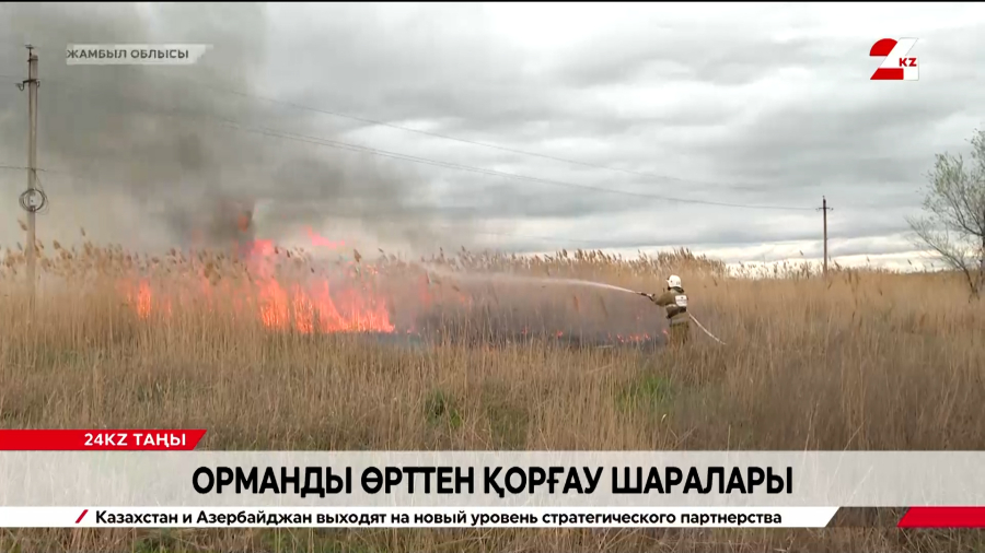 Жамбыл облысында орманды өрттен қорғау шаралары жүріп жатыр