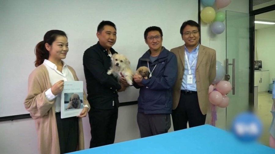 В мире растёт спрос на клонирование животных