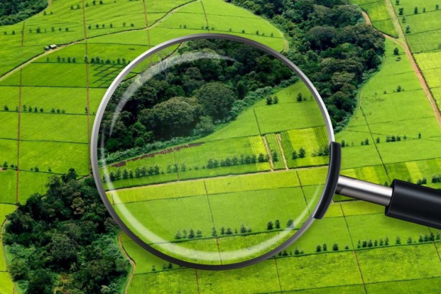 Ақмола облысында құны ₸53,4 млн болатын жер учаскесі мемлекетке қайтарылды