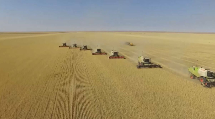 Отандық агроөнімге сыртқы нарық сұранысы қандай?