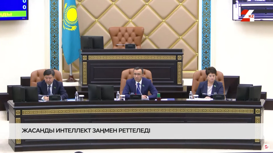 Сенаторлар ЖИ туралы заңдарды Мәжіліске қайтарды