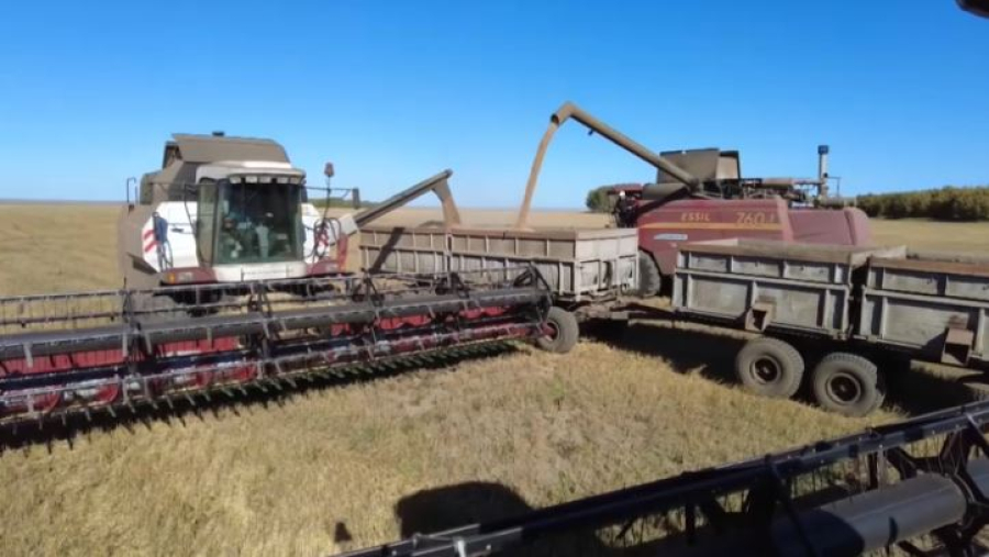 Елде астық таситын вагондар 16,3 мыңға жетті