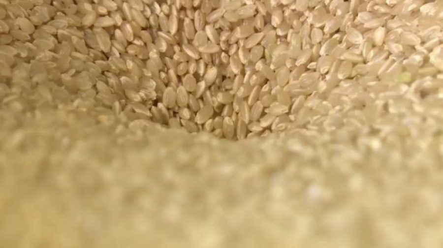 Дефицит риса: Япония впервые за 25 лет закупила рис у Южной Кореи