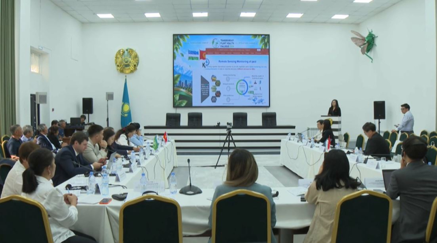 Фитосанитарлық қауіпсіздік талқыға түсті