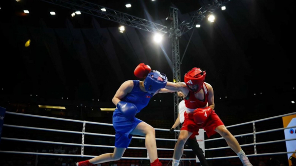 Бокстан ұлттық құрама Парижге тағы үш лицензия алды