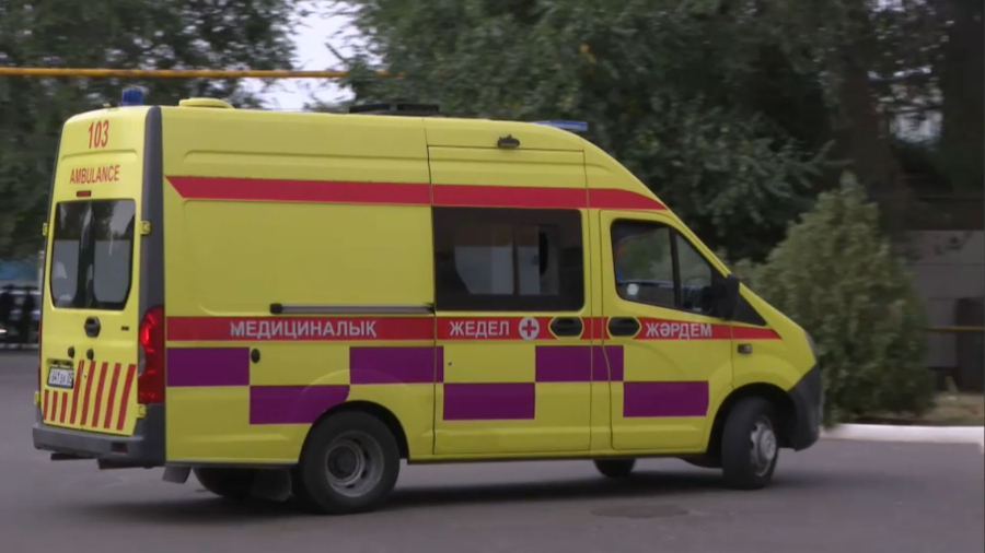 Алматы облысында 10 жастағы баланы үш ит талап тастады