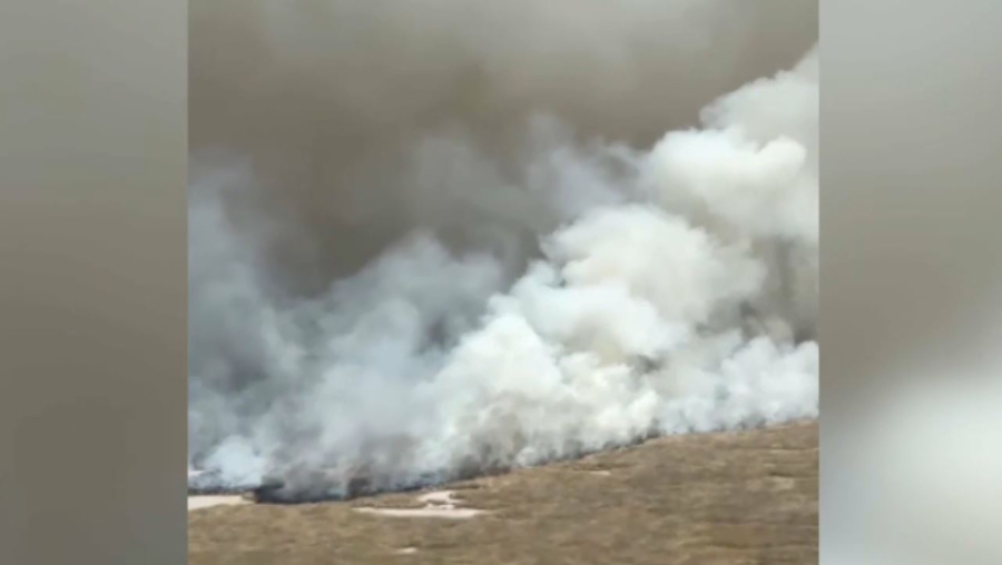 «Ақжайық» резерватындағы өрт оқшауланды