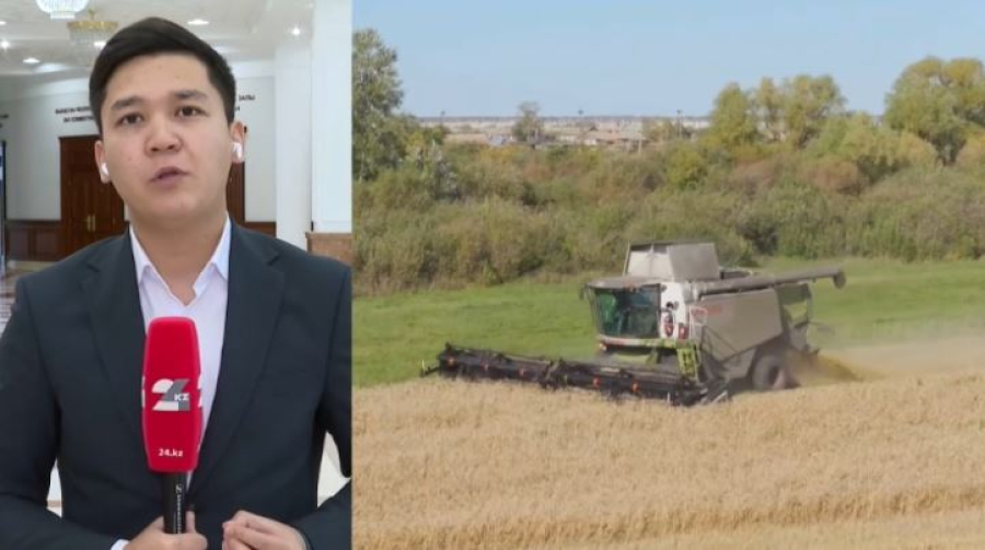 Егін жинау науқаны: рекорд тіркелуге жақын