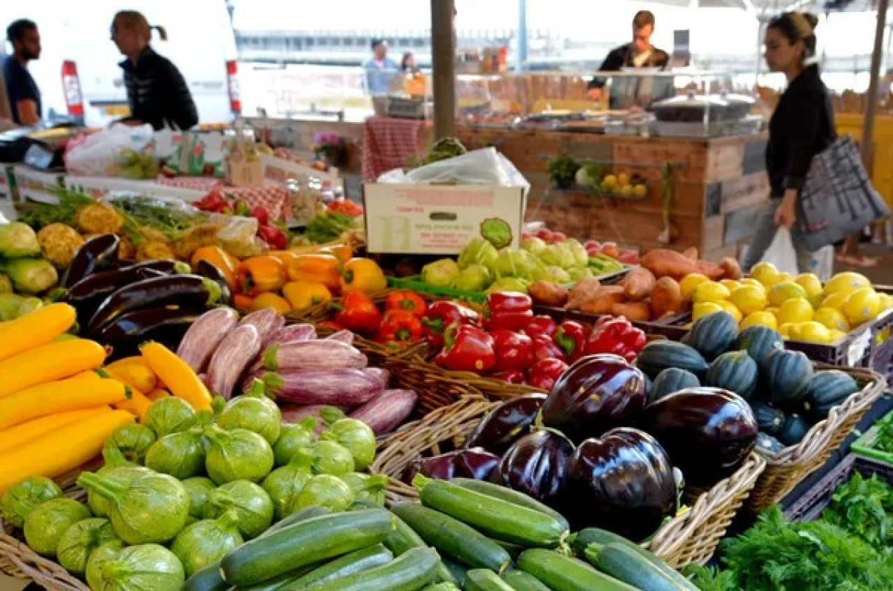 Экспорт казахстанской сельхозпродукции в Германию вырос на 38%