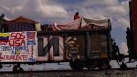 Десятки поездов с мигрантами встали на границе Мексики и США