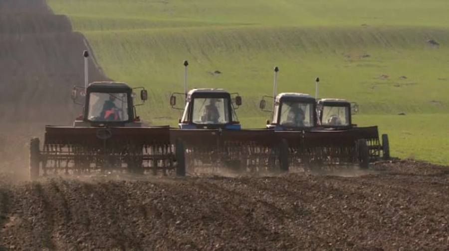 Аграрии Шымкента начали весеннюю посевную