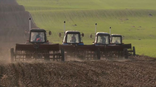 Аграрии Шымкента начали весеннюю посевную