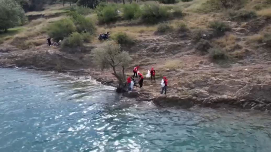 Берег Тбилисского моря очистили от мусора