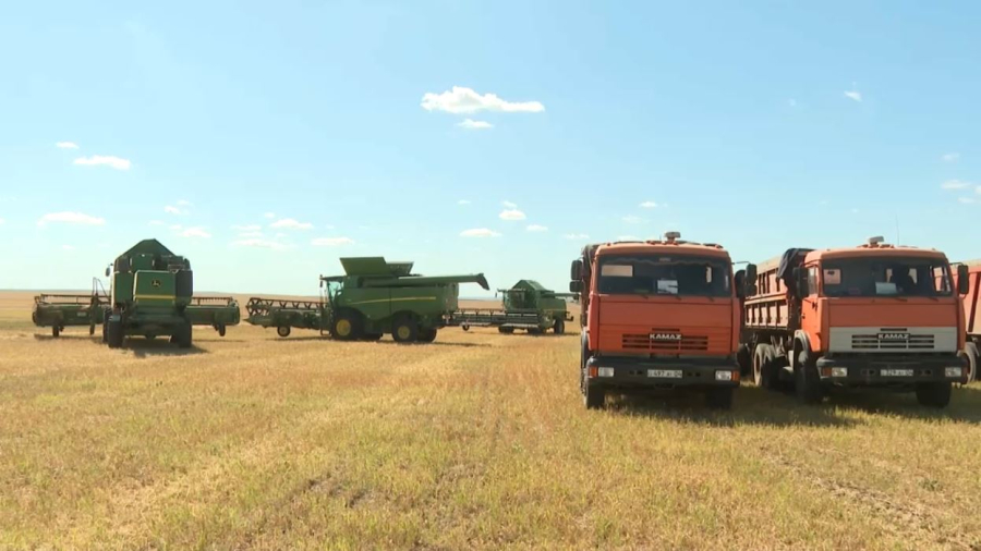 Ақтөбе облысында 125 мың тонна астық жиналды