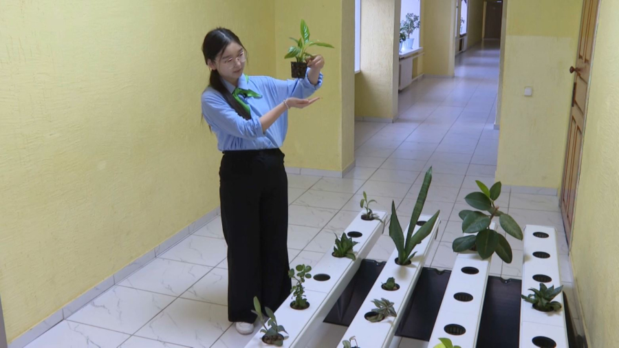 Ақмола облысында балаларға арналған экосабақтар өтіп жатыр