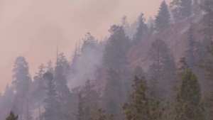 В Британской Колумбии усилились лесные пожары