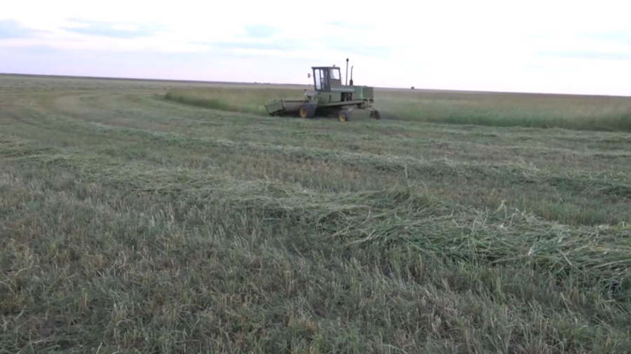 БҚО-да суармалы алқаптар аумағы артты