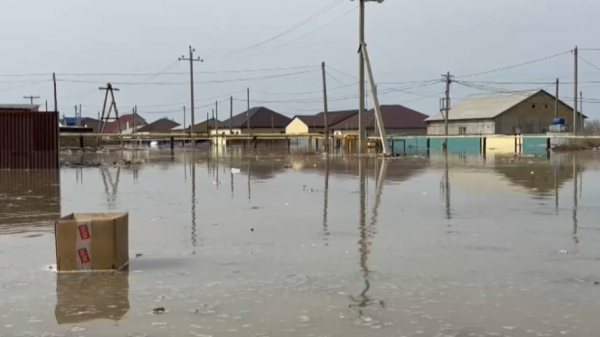 СОР и СОЧ отменили для школьников из пострадавших регионов