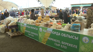 Елордада Қызылорда облысының ауыл шаруашылығы жәрмеңкесі өтіп жатыр