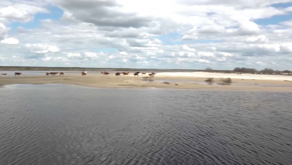 456 домов построят в ЗКО для пострадавших от паводков