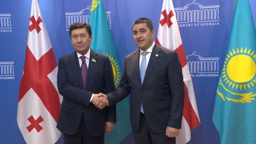 Қазақстан мен Грузия парламентаралық байланысын нығайтады