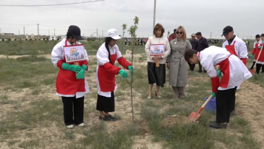 Мангистауские 11-классники присоединились к экочелленджу