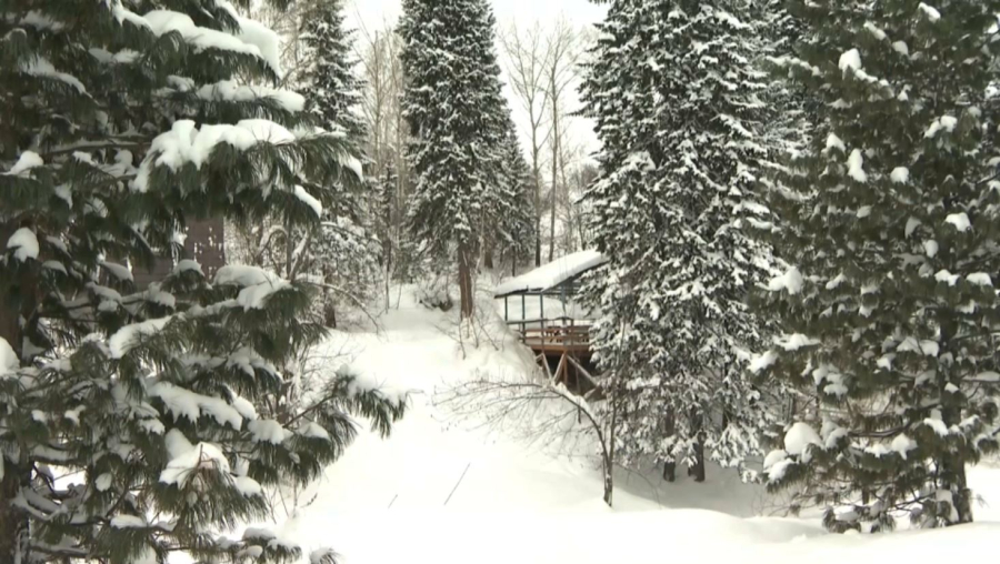 2025 жылы ШҚО-ға барған турист саны артты