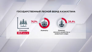 Лесной фонд занимает 11,2% территории Казахстана