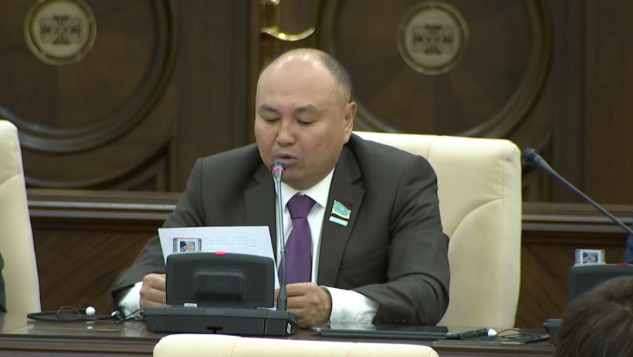 «Amanat» партиясы ауылға бейімделген ипотекалық бағдарламалар әзірлеуді ұсынды