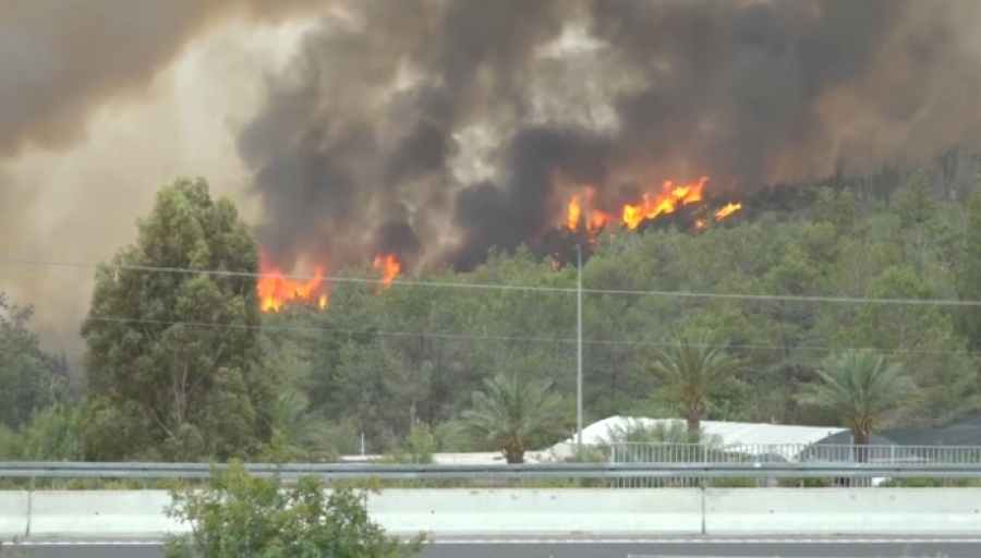 Израиль запросил международную помощь в тушении пожаров