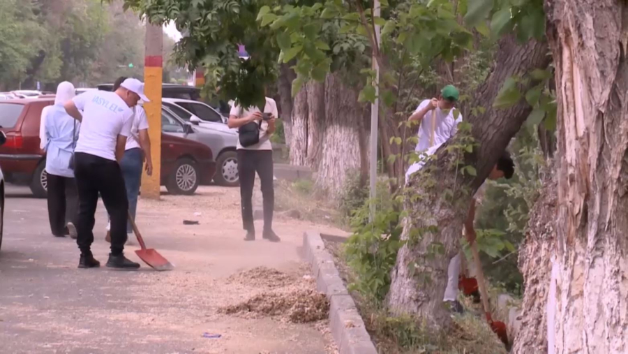 Тараз жастары қала көшелерін қоқыстан тазалады