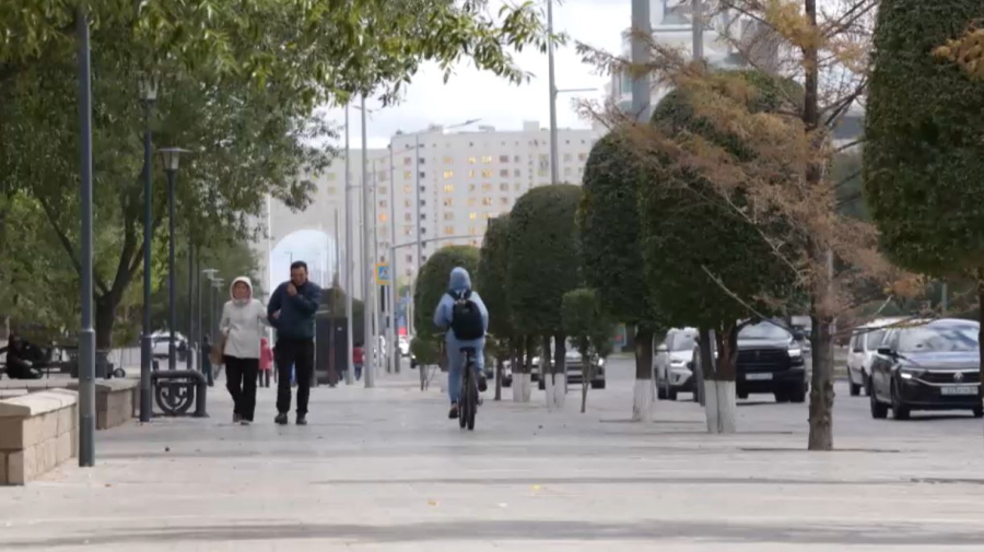 Жаңа Конституция: әлеуметтік қолдау кепілдіктері