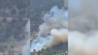 Лесной пожар вспыхнул возле Антальи