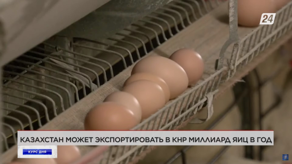 Казахстан может экспортировать в КНР миллиард яиц в год