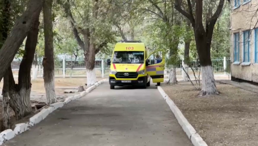Жамбыл облысында екі оқушы қатарластарының қолынан қаза тапты