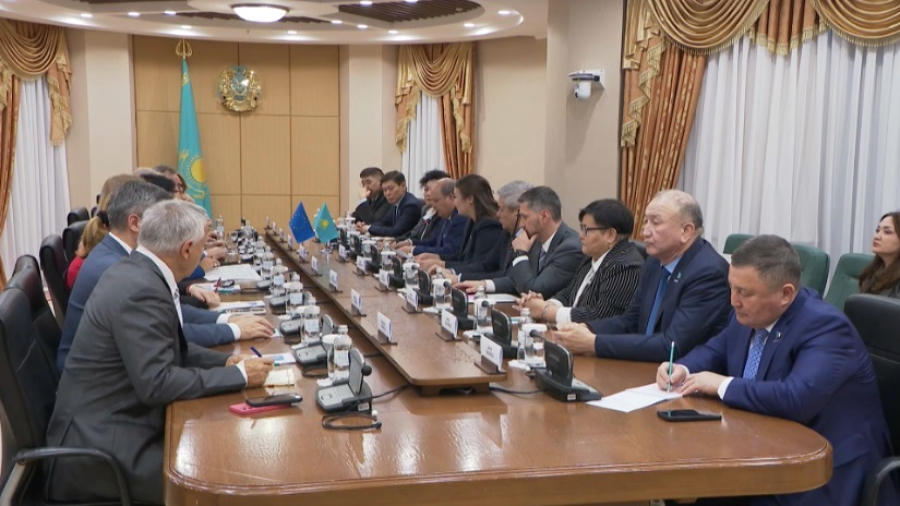 Курултай и Европарламент расширяют сотрудничество