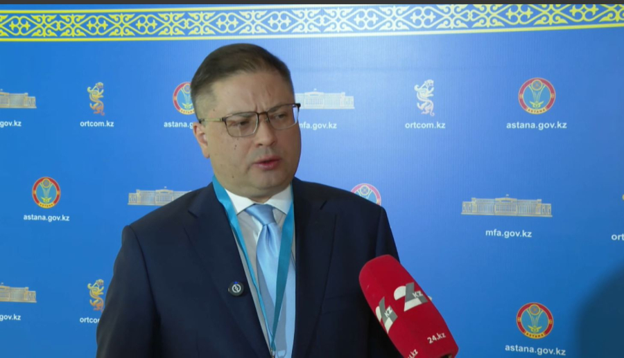 Халықаралық байқаушылар дауыс беру барысын бағалады